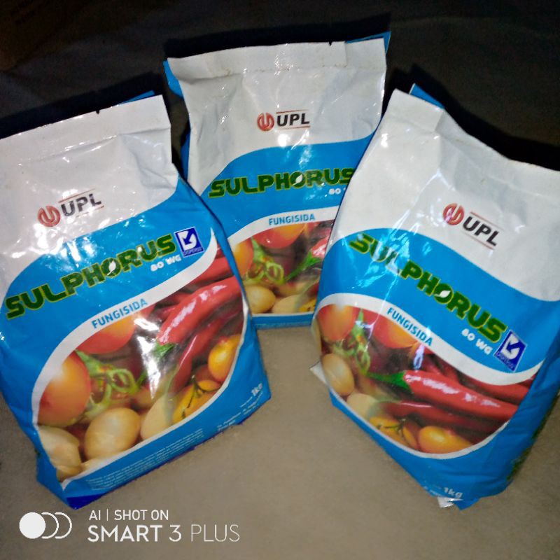 Fungisida sulphorus 80WG 1 kg