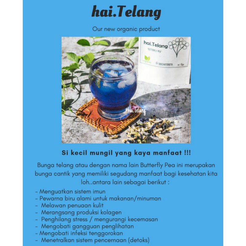 

hai.Telang