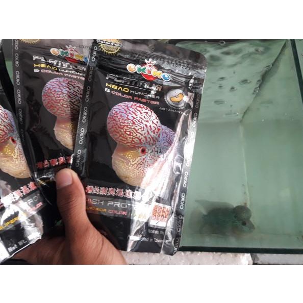 ❂ Pelet Louhan Okiko PLATINUM ☋