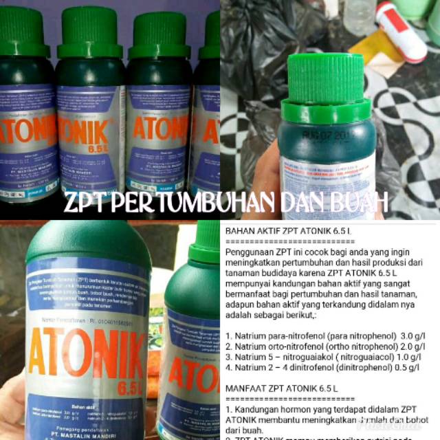 ZPT ATONIK PERANGSANG AKAR DAN TANAMAN BUAH