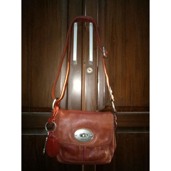 Tas PL Fossil