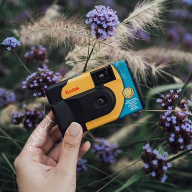 Kodak Daylight Disposable Camera (ISO 800, 39 exp, No