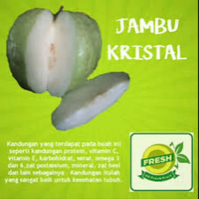 

Jambu kristal
