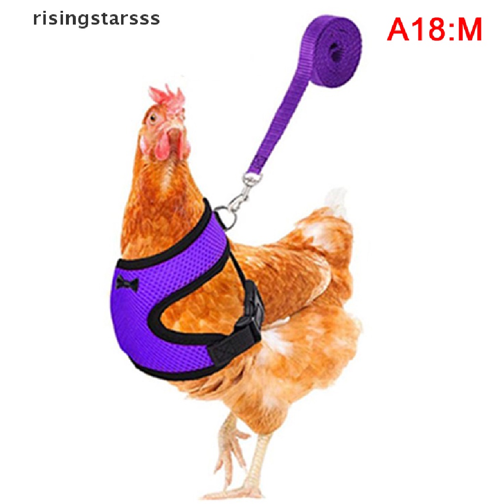 Rsid Rompi Harness Aksen Pita Untuk Ayam Betina