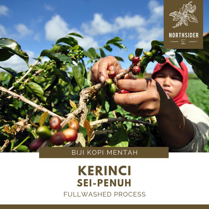 

KOPI ARABIKA KERINCI MT WASHED -JAMBI - BIJI MENTAH (GREEN BEAN)
