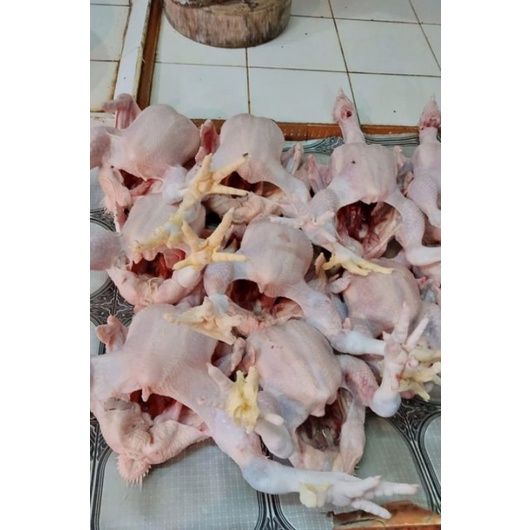 

AYAM POTONG SEGAR