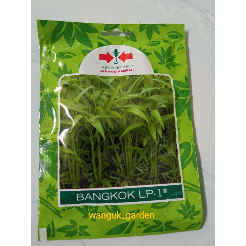 

Kangkung bangkok 1500 biji