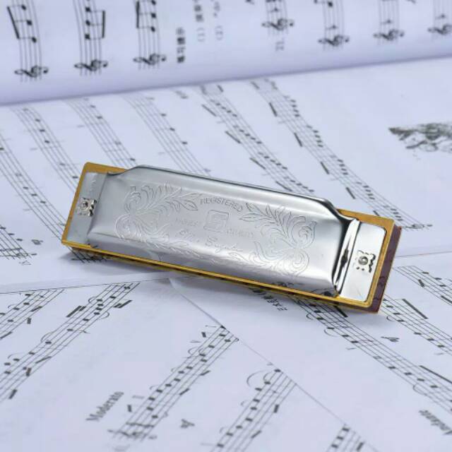 Harmonika Suzuki Folk Master 10 hole diatonic Harmonica Harmonika Susuki Folkmaster