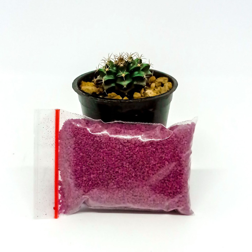 

STARKLE G Thailand Repack