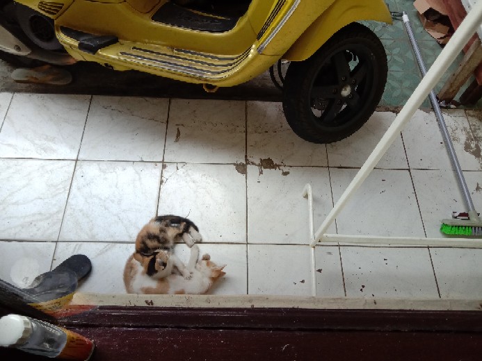 Storage Keranjang Multifungsi Desktop Box Organizer Nj55