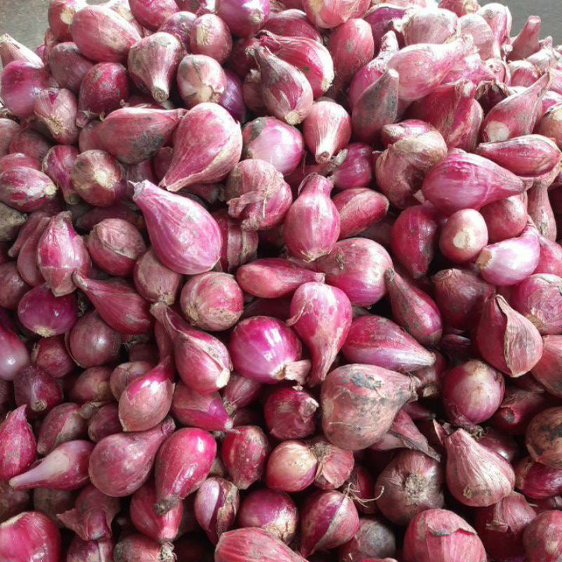 

Bawang merah Brebes besar 1kg