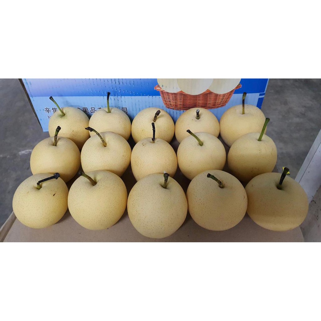 

Buah Pear Century 1kg Pir Manis / Fruit Mart