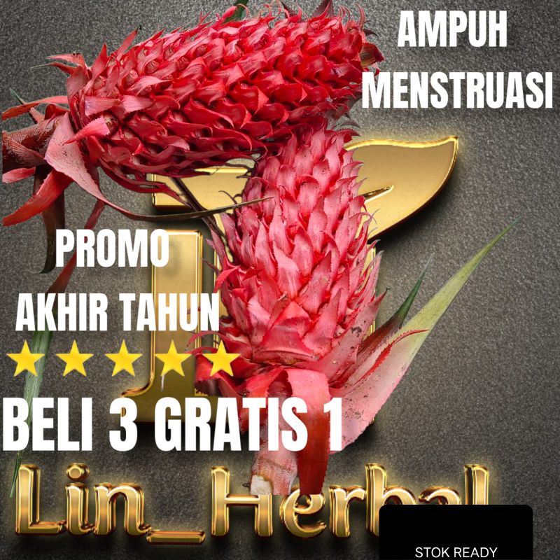 

Buah Nanas Merah-Nanas Muda Asli Hutan 1000 Grm Sudah izin PIRT