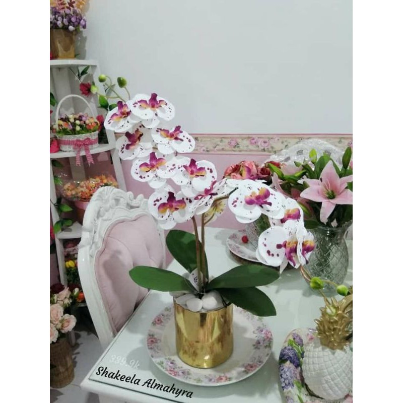 BUNGA HIAS / ANGGREK LATEX