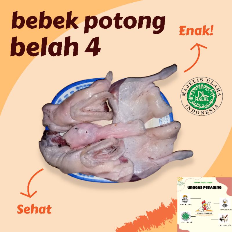 

daging bebek 1 kg belah 4