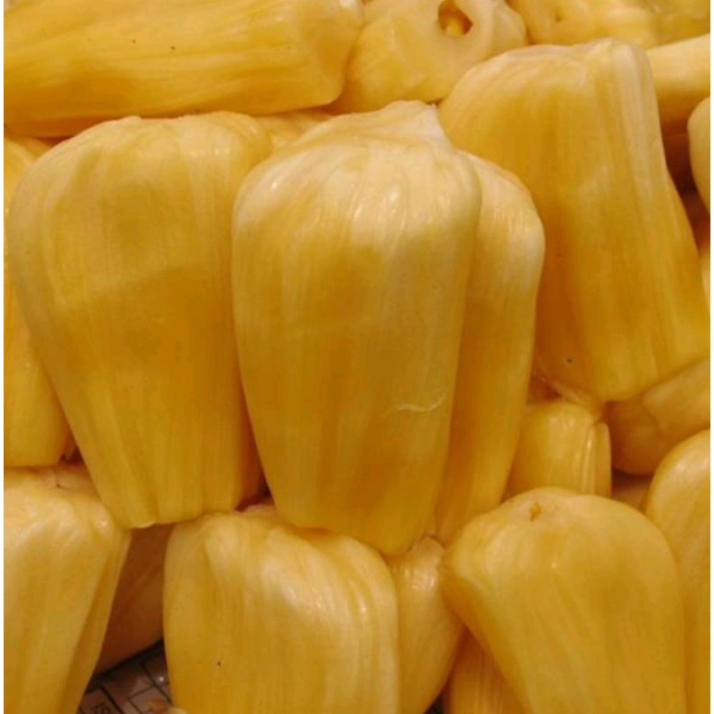 

Nangka kupas