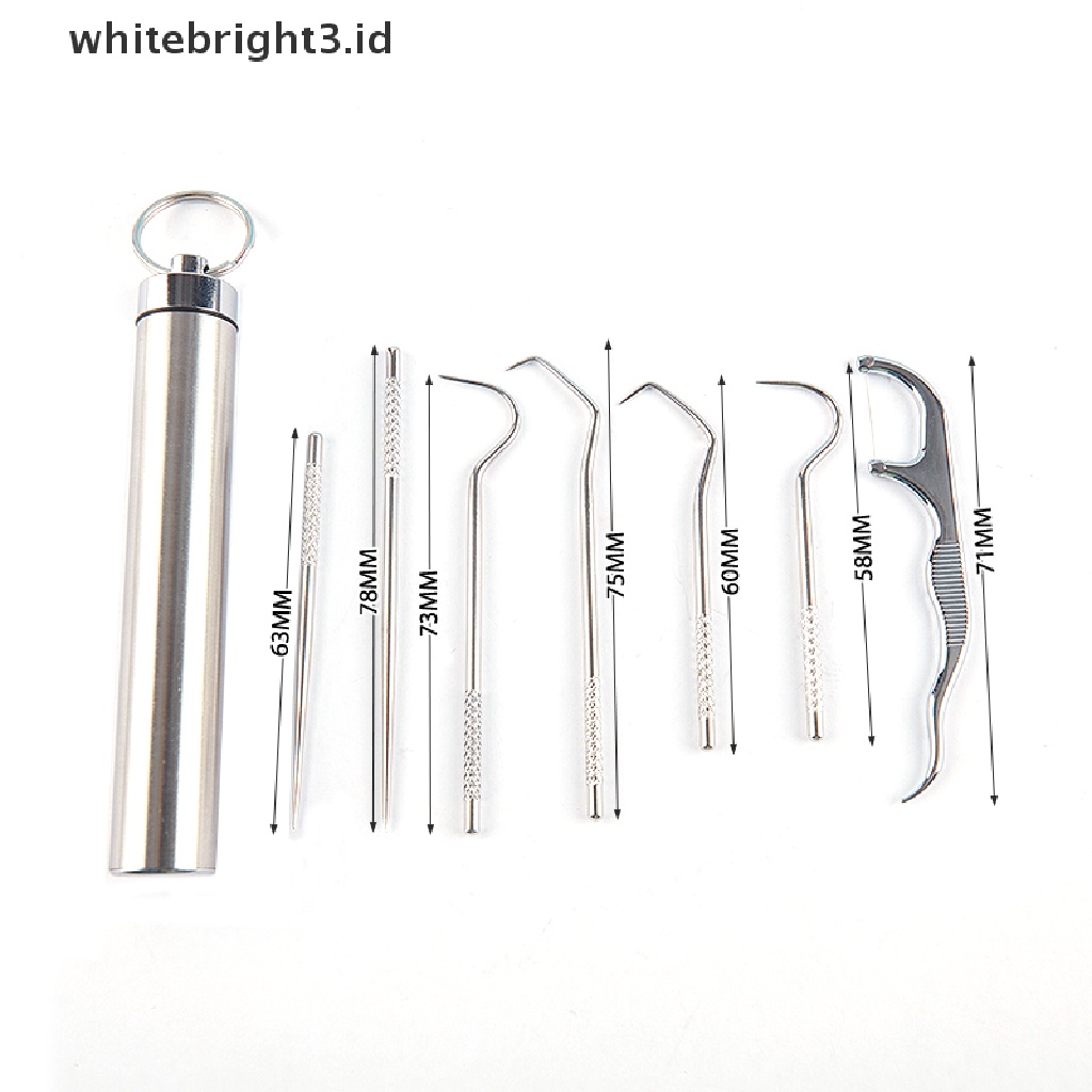 (whitebright3.id) 8pcs / Set Tusuk Gigi Stainless Steel Portable Reusable Untuk Outdoor / Piknik