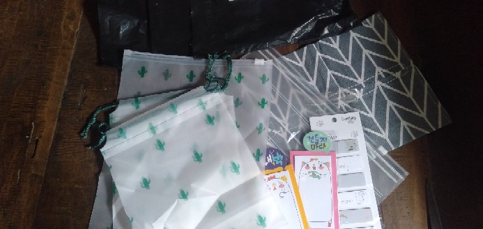 Batamgrosir.id | Kantong Storage Bag Ziplock Motif Kaktus Sedang Part 1