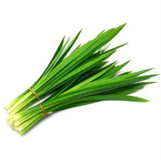 

daun pandan asli wangi