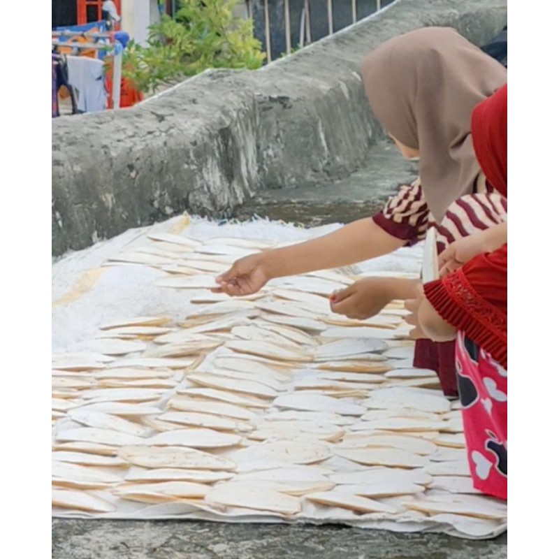 

Tulang Sotong 23 24 cm