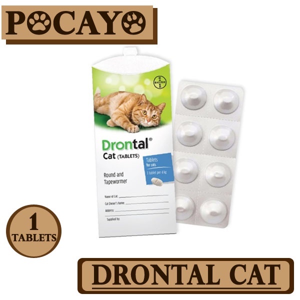 Drontal Cat Obat Cacing Kucing