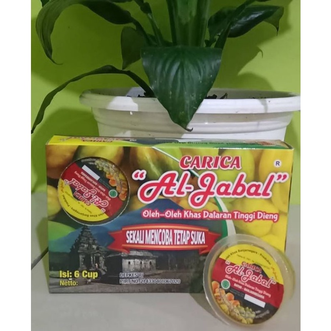 

carica al jabal carica khas dieng