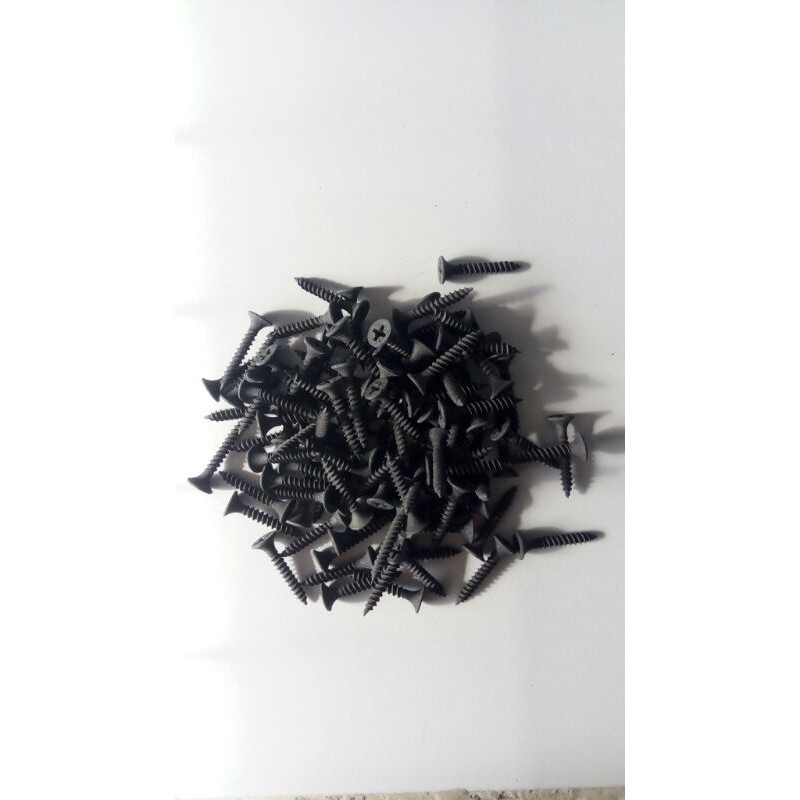 Skrup Gipsum lion 6x1