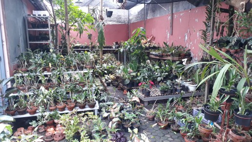 Dispenser Alat Pemotong Lakban Besi Joyko Td2s 2 Inch Grosir