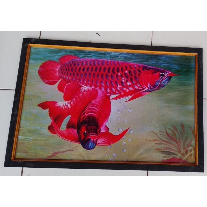 Lukisan murah poster murah hiasan dinding gambar  ikan arwana super red plus BINGKAI ukuran 65×45