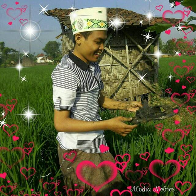 mochammadsuhandoyoelyas