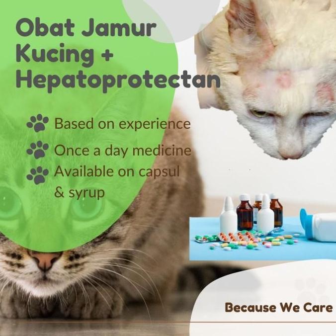 TERBARU OBAT JAMUR KUCING (MINUM) FREE VITAMIN LIVER TERLARIS