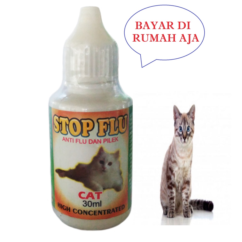 STOP FLU OBAT BATUK KUCING  FLU PILEK DEMAM HIDUNG BERAIR  BERSIN BERSIN AMPUH