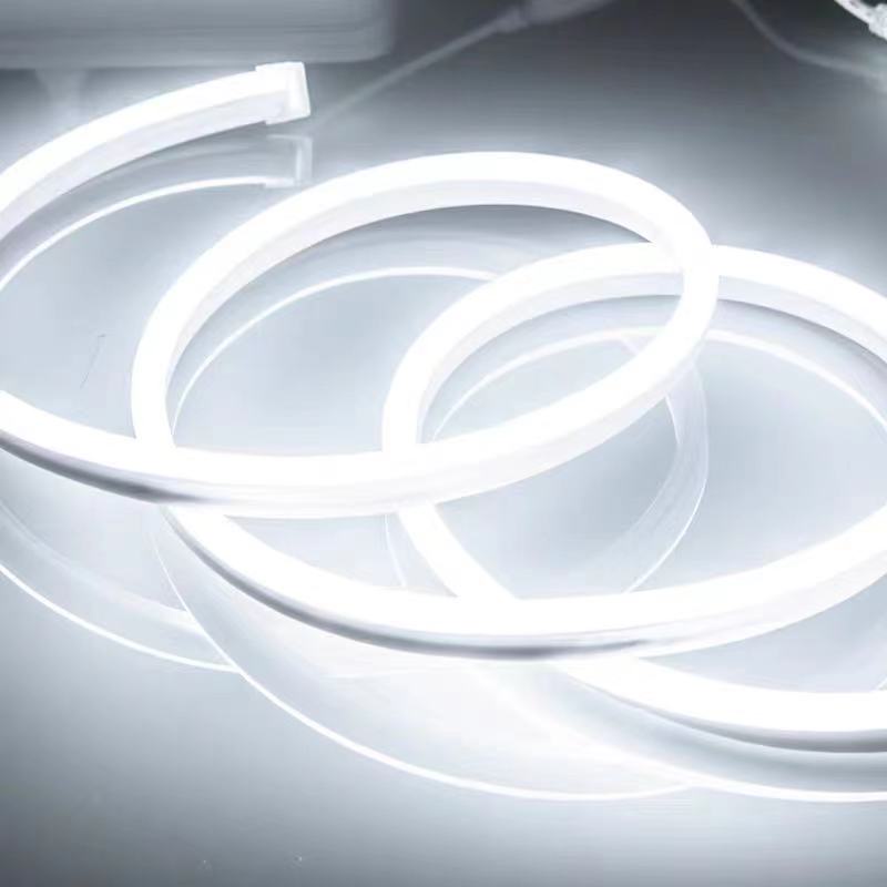 Neon Flexible 220v Per Meter / Lampu LED Neon Sign