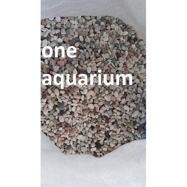 batu pancawarna 1kg panca warna kecil aquascape