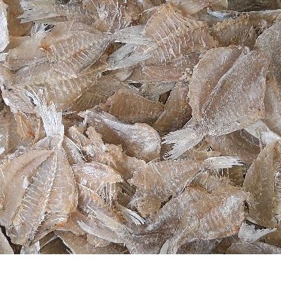 

Ikan Kapasan Tipis K8