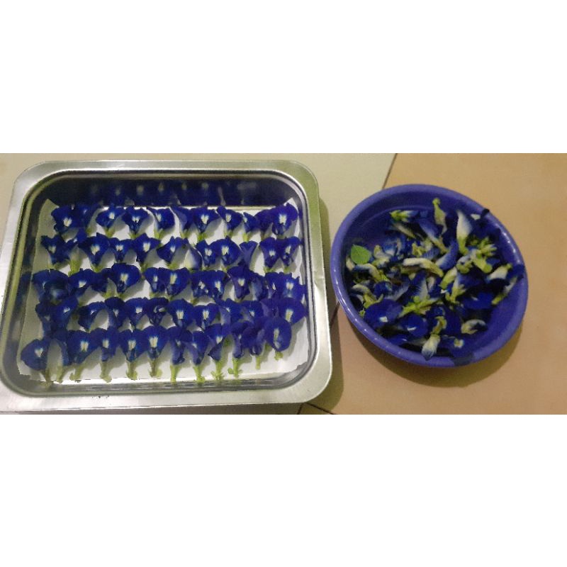 

bunga telang / kembang telang