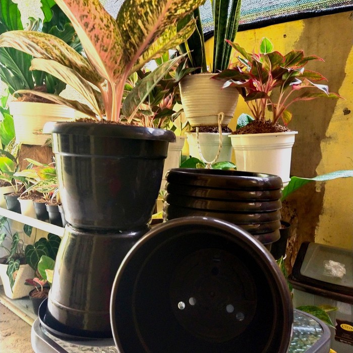 POT TANAMAN PLASTIK GL Tulip no 25 Hitam kuping