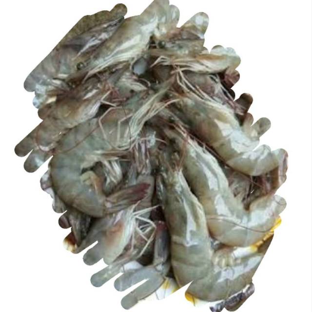 Udang Hitam Segar Shopee Indonesia