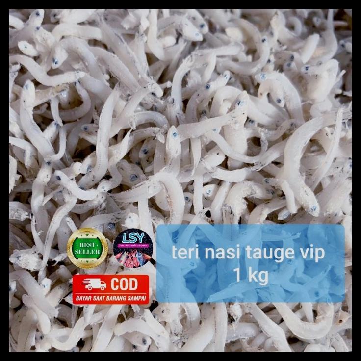 

DISKON TERBATAS !!! IKAN ASIN TN TAUGE VIP / TERI NASI SIZE JUMBO 1KG TERLARIS