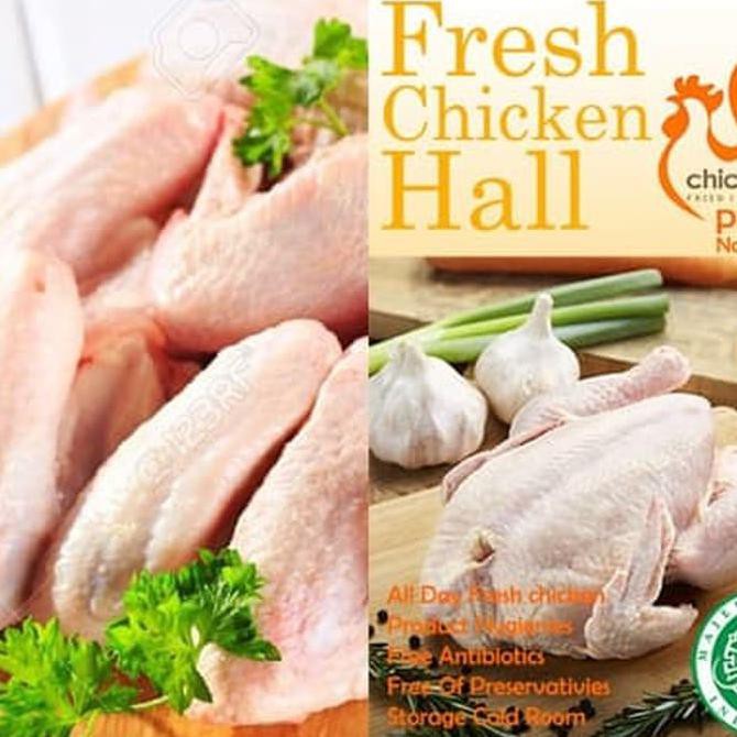 

Promo Sayap Ayam Frozen - Original