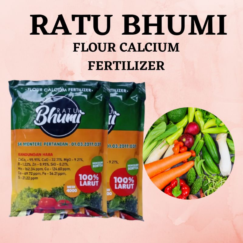 Pupuk calcium untuk bawang merah, Nutrisi tanaman agar cepat berbuah