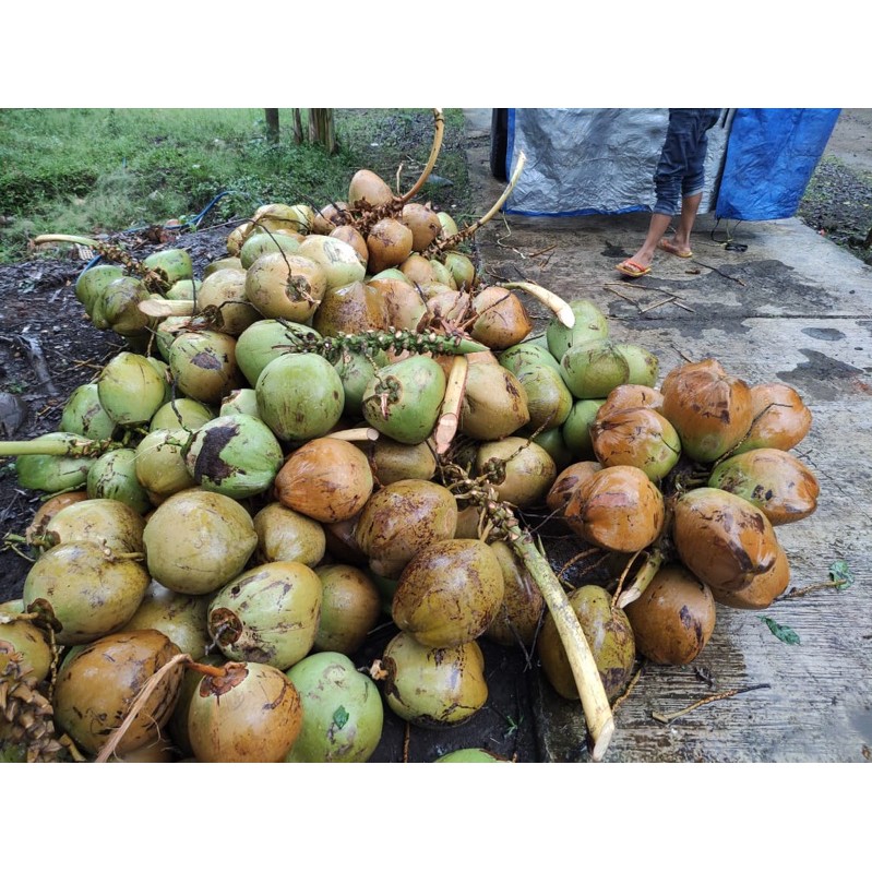 

Degan Lumajang Fresh size super