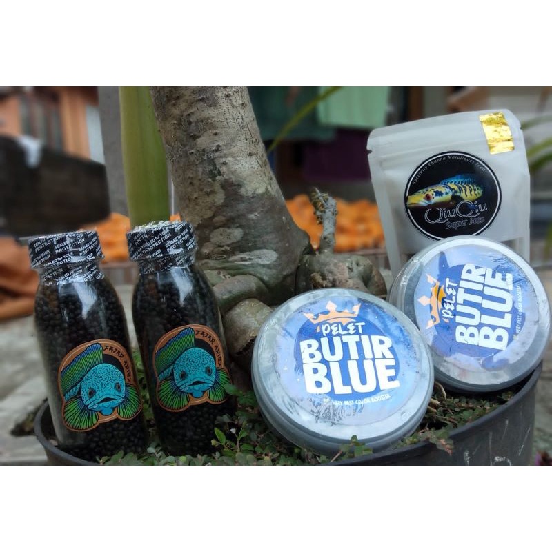 pelet jahat virus chana