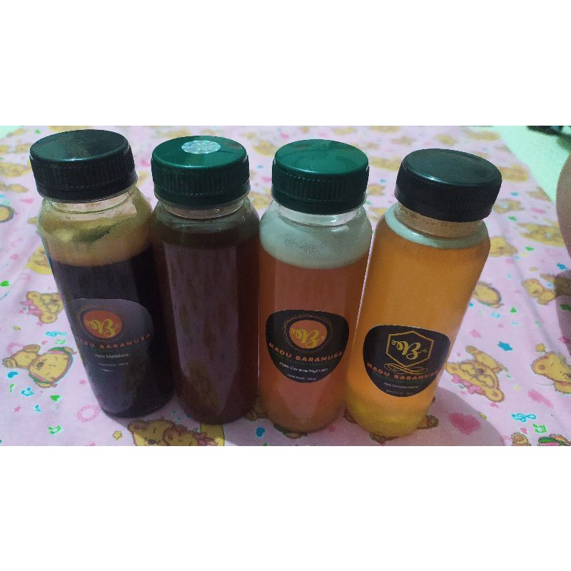 

madu trigona, apis cerana, apis dorsata, apis melifera