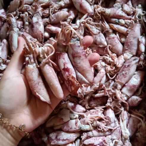 

Cumi Asin Baby Squid 100 gr 100gr - Tahan Lama - Untuk Sambal Cumi Oseng dll
