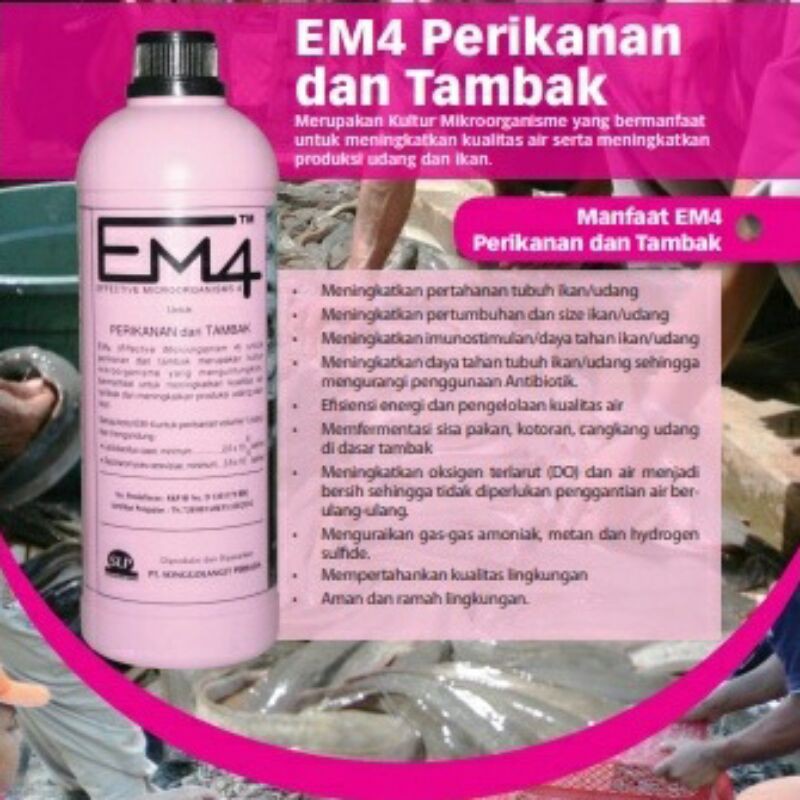 Bio Formulator Penghilang Bau Kolam Ikan Em4 Perikanan 1 liter