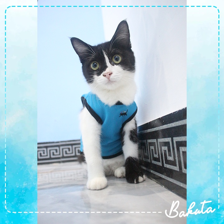 Baju Ucansee Kucing dan Anjing Sablon Universe Cat Baju Kucing Termurah Shopee Grade A size S-XL