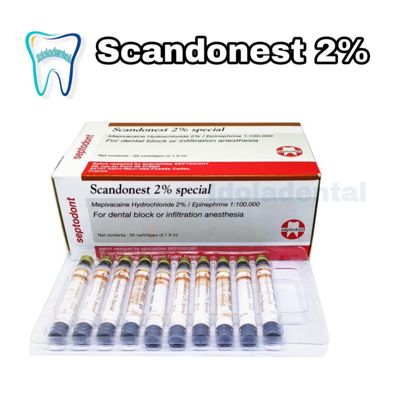 Dental Scandonest 2% Special Ampul Carpule Citoject / Scandinibsa