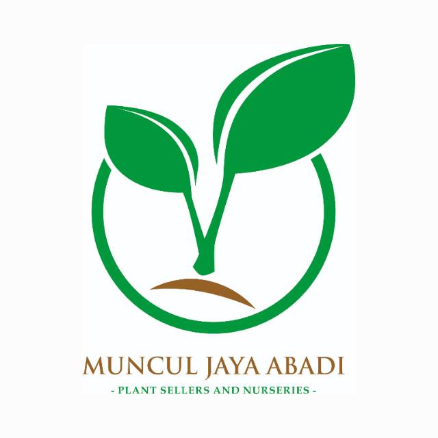 muncul_jaya_abadi