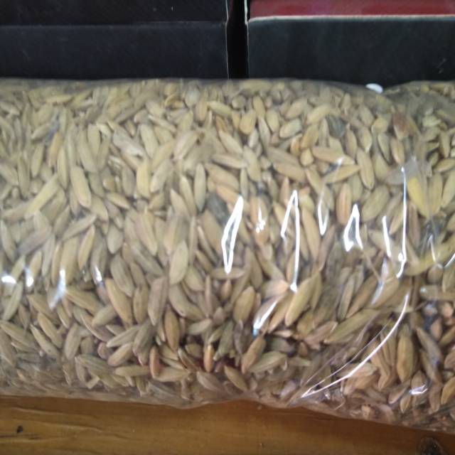 Gabah merah padi padi kering pakan ayam500 gr